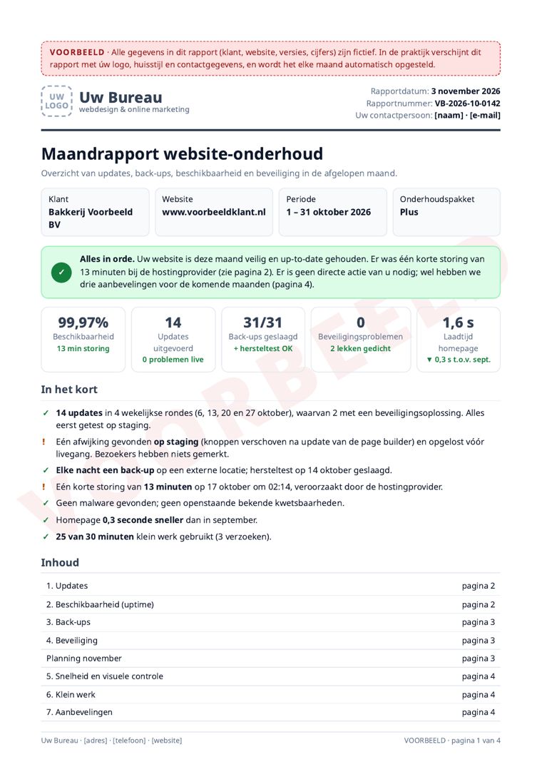 Voorbeeld van het maandrapport met het logo van het webbureau (fictieve gegevens)